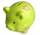 Conference Piggy Bank
